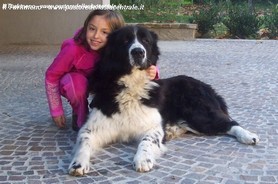 Kim� in famiglia